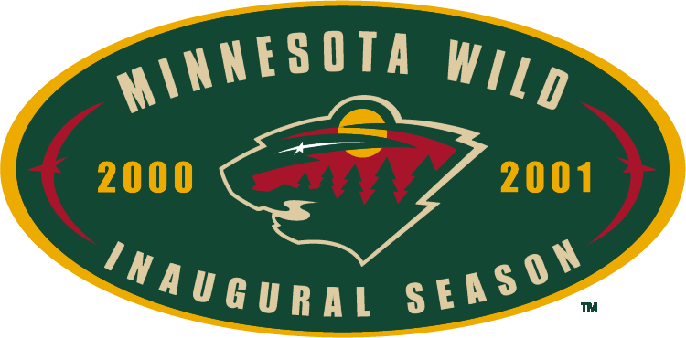 Minnesota Wild 2001 Anniversary Logo DIY iron on transfer (heat transfer)